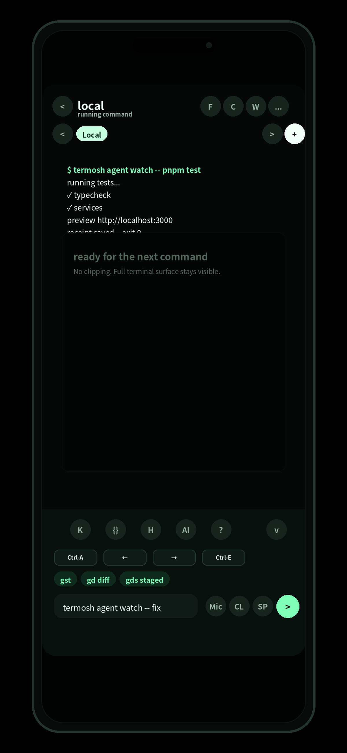 Termosh terminal screen